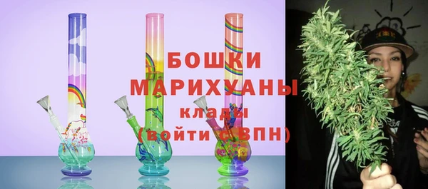 крисы Медвежьегорск